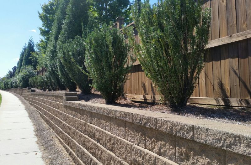 Hardscape Wall Construction in Sonoma County, CA